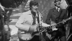 Herman's Hermits - I Can Take Or Leave Your Loving