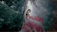 容祖儿 - 花千树