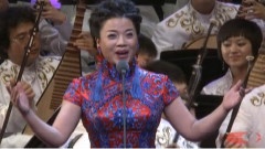 张也 - 走进新时代