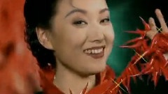 华语群星 - 1995