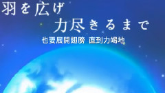 镜音双子,VOCALOID家族 - タロ 中文字幕