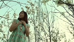 杨小曼 - 玉兰花