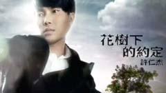 许仁杰 - 花树下的约定