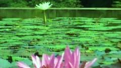 梁咏琪 - 夏日聚集
