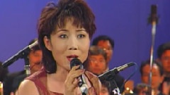 黄土高坡