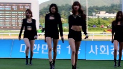 Nine Muses - Wild