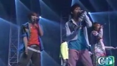 V6 - Darling