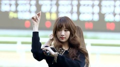 Nine Muses - Wild