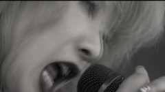 THE TEENAGE KISSERS - BLACK SKINNY BIRD