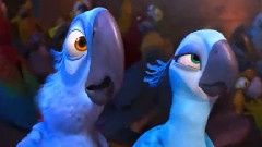 Samba