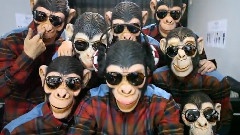 ZE:A - The Lazy Song