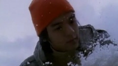 北极雪