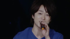 岚 - サーカス Arashi