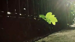 Eung Flower - 丢了春天