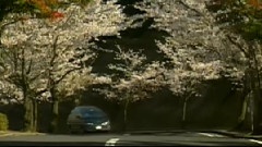 Richard Clayderman - 爱的纪念