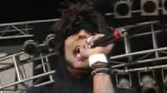 Swan Dive - Hed Pe
