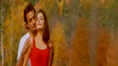 群星 - 你日夜思念的人是谁