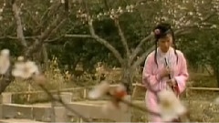 葬花吟 周末电影音乐欣赏
