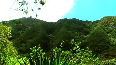 姫神(姬神),音乐短片 - 十三春