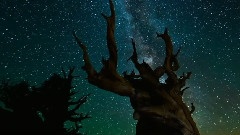 音乐短片,Secret Garden - Prayer