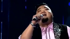华语群星 - 绿叶对根的情意