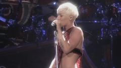 Pink - Who Knew