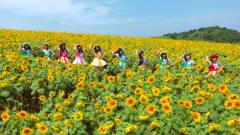 アイドル教室 - 僕は君に恋をした
