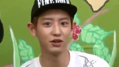 EXO,EXO-M,EXO-K - 生生情报通