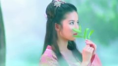 陈瑞 - 哭泣的童话