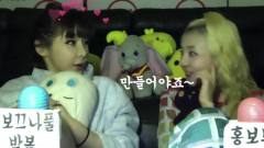 2NE1 - 双朴 TV