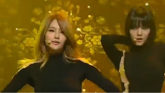 AOA - 短裙