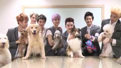 EXO,EXO-K,EXO-M - KBS Super Dog 未公开影像