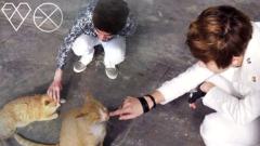 EXO-K,EXO - 傻瓜