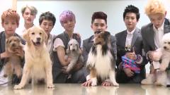EXO - KBS Super Dog 未公开影像