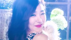 少女时代,少女时代-TTS,Tiffany(少女时代) - Taeyeon's Chinchin Diary About Tiffany's Puppy