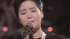邓丽君 - つぐない