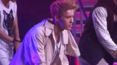 EXO,EXO-M - Wolf