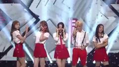 f(x) - 初智齿