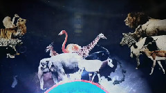 初音未来 - 植物園