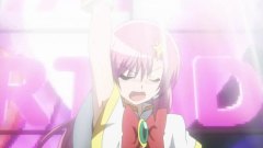 桂雏菊 MAD