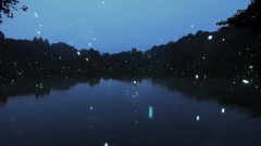 音乐短片,风景,轻音乐 - 梦游东京子夜