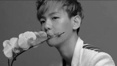 EXO-K - Stay
