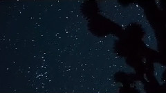 杨钰莹,风景 - 我在看你