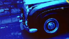 Pitbull - Wicked