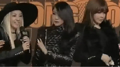 2NE1 - 2013MAMA 红地毯 2NE1 Cut