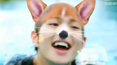 SHINee - 美好的一天之温流游泳篇 老头儿狗刨游泳^▽^