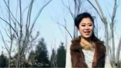 上官灵雪 - 野狼模样