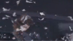 EXO,EXO-M - Ending枕头大战