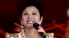 董文华 - 中国年