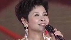 董文华 - 中国年